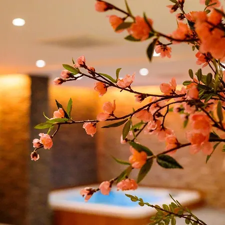 Prive L'amour Отель для свиданий *