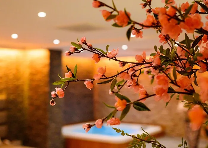 Prive L'amour Love hotel *